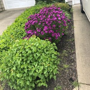 Meet your Posher, Lara